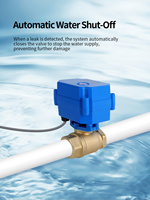 Détecteur de fuite d'eau, équipement de détection de fuite d'eau, détecteur de fuite DN25, vannes de sécurité, robinet d'eau intelligent et 6 capteurs de fuite de 6 m