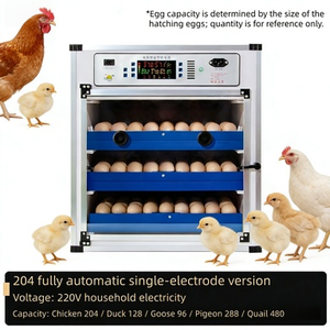 Incubateur d'œufs automatique industriel à double alimentation pour fonctionnement continu - Product Image 2