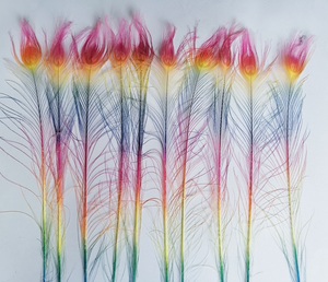 Bán buôn số lượng lớn nhuộm tự nhiên hai giai điệu cam cầu vồng chùm nhân tạo làm bằng tay cánh lông đuôi con công lông cho trang trí - Product Image 2