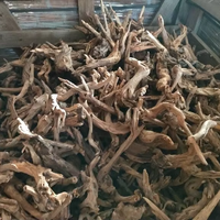Bois de bogue polonais artificiel pour aquascape, design araignée, petit bois flottant pour aquarium, bois de bogue de rivière