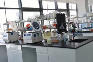 L-Valina de Grado Alimenticio, Aminoácido para el Crecimiento Animal, Promueve el Refuerzo del Sistema Inmunitario - Product Image 3