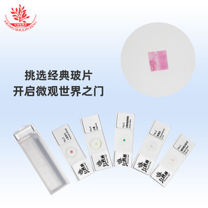 Ensemble de 5 objectifs de microscope pédagogiques (sections biologiques), petit ensemble dans une boîte transparente, accessoires de microscope typiques. - Product Image 4