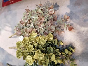 Qualità floccaggio plastica artificiale vero tocco lascia bouquet foglia di eucalipto artificiale pianta di cespuglio verde a buon mercato - Product Image 3