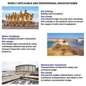 CDHB Stainless Steel Iron River Sand <b>Suction</b> Gravel Slurry <b>Pump</b> for Acid Sludge Transport - Product Image 6