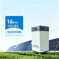 Batteries solaires 16 kWh 51,2 V 314 Ah à faible MOQ, disponibles en ODM/OEM, 8000 cycles, avec système hors réseau LifePO4 pour système solaire domestique