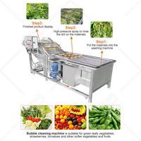 Mijn Lavadora De Burbujas De Frutas Y Verduras Industrie Fruitreiniger Machine Groente Mango Wasmachine Prijs