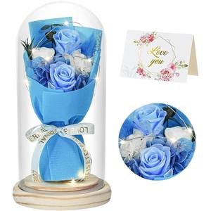 Ramo de Rosas en Cúpula de Cristal, Adorno Luminoso, Regalo para el Día de la Madre, San Valentín, para Mamá, Mejor Amiga, Decoración - Product Image 4