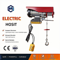 Hoist Listrik Mini Nirkabel 3-in-1 Kontrol CE C3 Kelas Industri yang Tenang Pa300 untuk Pengangkatan Kargo di Lokasi Konstruksi dan Garasi