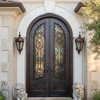 Porte d'entrée de villa décorative extérieure en fer forgé cintrée traditionnelle de luxe, à double battant avec ouverture latérale et vitrage, sur mesure