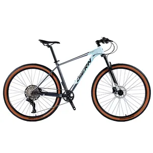 Prezzo di fabbrica preferenziale 29 pollici 12 velocità in alluminio peso leggero bicicletta per studenti bicicleta mountain bike bicicletta mtb