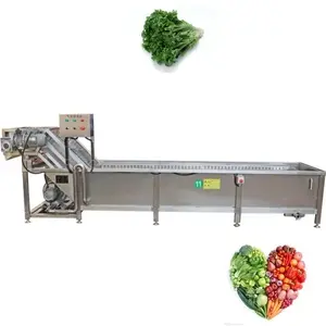 Vegetable Washing Line Green Pepper Chili Cleaning Machine Fresh Dried Frozen Vegetable Fruit Processing Line