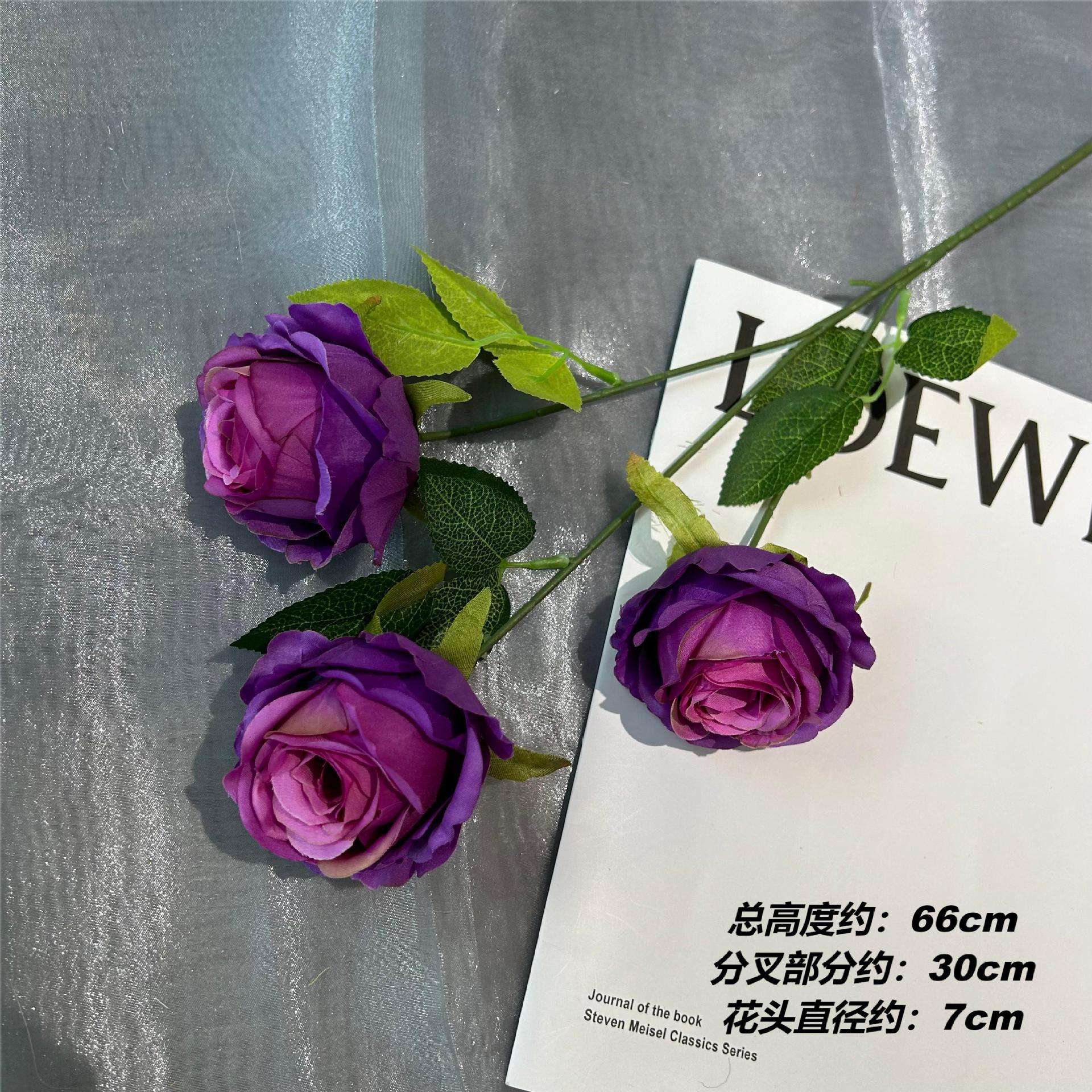 Xh 3 snow mountain roses