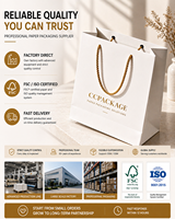 Sacs en papier de luxe personnalisés avec logo imprimé en feuille d'or, emballage pour le shopping, poignée robuste, écologiques, fournisseur en gros pour la vente au détail