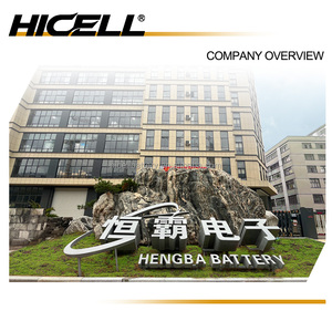 HICELL LR14 2 adet/kart AM-2 No. 2 alkalin pil 1.5V akıllı kilit oyuncak el dezenfektanı makinesi için pil çin fabrika - Product Image 3