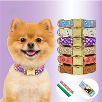 Schattige geprinte hondenhalsband, riem en poepzakjeshouder set, fruit- en hartjespatroon, hondenuitlaatset voor kleine en middelgrote honden en katten