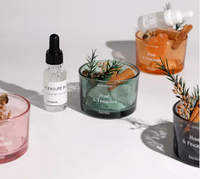 Décoration de maison ornement de bureau pierres aromatiques pierre de cristal naturel et diffuseur d'huile ensemble diffuseur de pierre d'huile de parfum