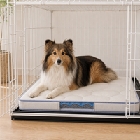 Gepolsterte Hundebettmatte für den Innenbereich mit gepolstertem Oberflächenteil, rutschfester Unterseite und durchsichtigem Seitenfenster für große Hundeboxen.