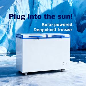 Congélateur à double porte à énergie solaire, vente chaude, réfrigérateur 12v/24v BD/BC-268 litres pour usage domestique et commercial - Product Image 5
