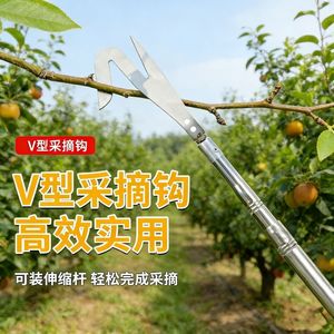 Gancho en forma de V para recoger frutas, herramienta manual de acero inoxidable para cosecha aérea de lichi, longan, melocotón, tijeras de jardinería - Product Image 2