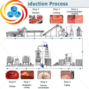 Ligne de production de ketchup et de purée de tomates ORME avec stérilisateur alimentaire et mélangeur, machine automatique en acier inoxydable 304 - Product Image 2