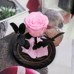 Vente flash eBay, prix bas, roses rouges et roses éternelles, mini petit prince, <span class=keywords><strong>rose</strong></span> préservée dans un dôme en verre - Product Image 6