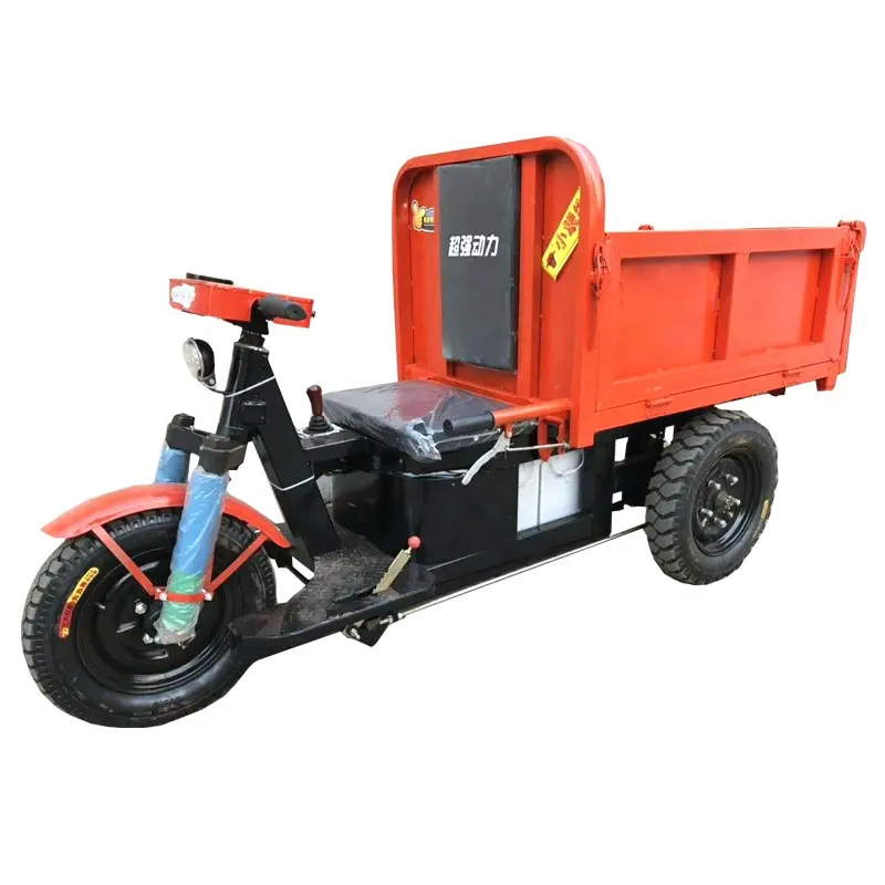 Electric Cargo Dreirad Roller Made in China