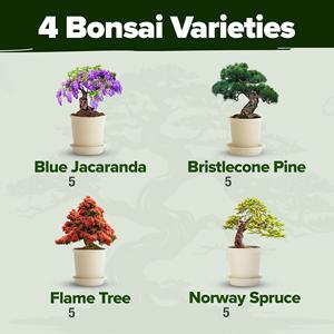 Kit de bonsaï <span class=keywords><strong>en</strong></span> céramique de haute qualité et durable, comprend plusieurs pots de <span class=keywords><strong>fleurs</strong></span> pour la création de bonsaï à la maison ou au jardin - Product Image 3