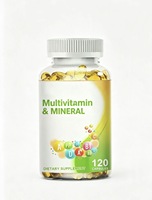 Capsules de Vitamines et Minéraux Véganes Complexe Multivitaminé pour Adultes en Gros : Vitamine C, B3, B5, B6, B12, Calcium, Fer, Zinc