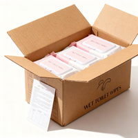 Lingettes humides jetables personnalisées avec logo, biodégradables, pH équilibré, papier toilette humide gaufré perlé, marque privée, vente en gros