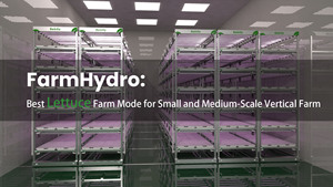 Reinfa Farmhydro: il Miglior Sistema Idroponico Verticale per Coltivatori Commerciali di Lattuga - Product Image 5