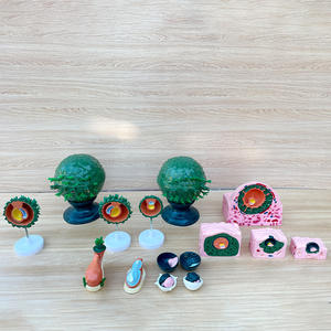 Modèle d'implantation d'embryon humain - Modèle de membrane fœtale pour l'embryologie et l'enseignement médical - Product Image 1