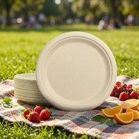 ECO SOUL Assiette jetable moderne en bagasse de 6 pouces (lot de 100, motif uni rond)