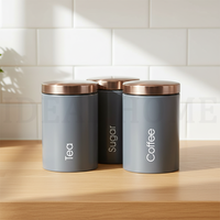 Ensemble de 3 pots de rangement gris mat style ferme pour sucre, thé et café avec couvercles hermétiques pour comptoir de cuisine