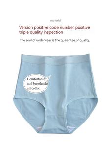 Vrouwen Slipje Plus Size Hoge Taille Slipje Vrouwen Ondergoed - Product Image 3