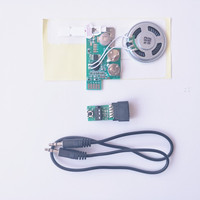 Modul Tarik-ulang Tab Tarik 60 Detik Kosong dengan Saluran Audio dari Telepon Komputer untuk Kartu Suara DIY Kustom
