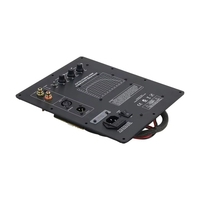 GGDX Plaque d'amplification pour subwoofer audiophile de cinéma, amplificateur de son Ethics, puissance nominale 200W
