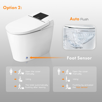 Cuvette de toilette de luxe de haute qualité, 110V, 220V, électrique, intelligente, à chasse automatique, wc