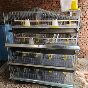 Cage d'élevage de type H à <span class=keywords><strong>prix</strong></span> direct usine, gain de place, galvanisée à chaud, 1 ensemble, <span class=keywords><strong>prix</strong></span> bas pour petite ferme avicole - Product Image 2