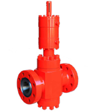 Porte 6A de haute qualité de marque GPE avec 1 an de garantie pour X-MAS Tree & Choke/Kill Manifold 6A - Product Image 4
