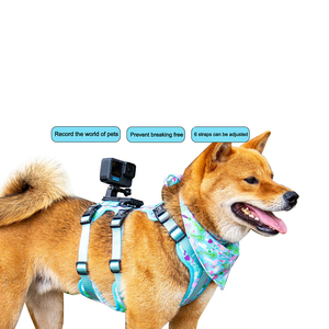 Ensemble de <span class=keywords><strong>harnais</strong></span> pour chien No Escape - Collier de sécurité réglable et laisse avec support pour caméra d'action, équipement pour animaux de compagnie de qualité supérieure - Product Image 3