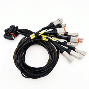 Arnés de Cableado de Inyector de Combustible Automotriz EV6 Personalizado - Product Image 5