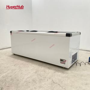 Congélateur coffre commercial à porte vitrée à économie d'énergie, grand volume, 100L-1150L, réfrigérateur profond - Product Image 1