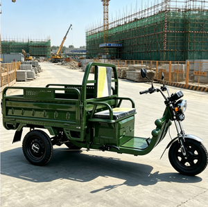 Tricycles de haute qualité approuvés par la CEE, 1000 W, avec benne ouverte de 1,5 x 1 m, capacité de charge de 600 à 800 kg - Product Image 5