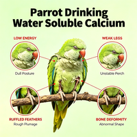 Complément de calcium liquide pour oiseaux, calcium à haute biodisponibilité pour les perroquets, les pigeons, la volaille, soutien à la santé des os, 30 ml