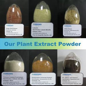 Suministro <span class=keywords><strong>de</strong></span> Extracto <span class=keywords><strong>de</strong></span> Raíz <span class=keywords><strong>de</strong></span> <span class=keywords><strong>Maca</strong></span> Negra 100% Puro Sin Aditivos <span class=keywords><strong>en</strong></span> <span class=keywords><strong>Polvo</strong></span> - Product Image 6