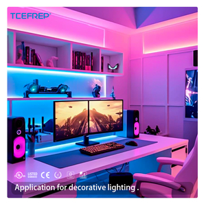 Tira de Luz LED COB WRGBW de Colores Perfectos, 840 LED/m, 24 V, Bajo Voltaje, IP20, Certificación UL CE, para Iluminación Decorativa Interior y Exterior - Product Image 5