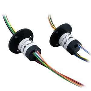 Factory Direct Supply Cap-type Conductive Slip Ring, Micro Brush Slip Ring,High-definition Pan/Tilt Slip Ring supplier