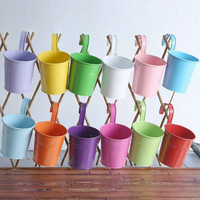 Pot de fleurs suspendu en fer forgé au design moderne, écologique, galvanisé, pour plantes vertes succulentes, avec crochet détachable