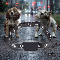 Collier GPS anti-perte pour chien et chat, en plastique, étanche IP67, technologie NFC, localisation précise des animaux en temps réel, vente flash