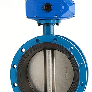 Actuador D941X, PN16, Brida de Hierro Fundido, Control de Suministro de Agua y Tratamiento de Aguas Residuales, DN50 a DN300 - Product Image 3